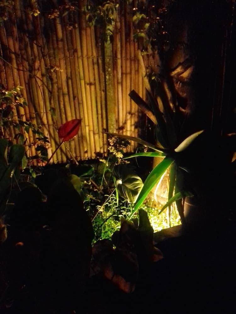 Photo 43