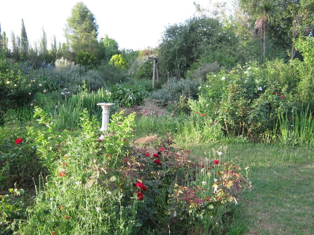 Photo 20