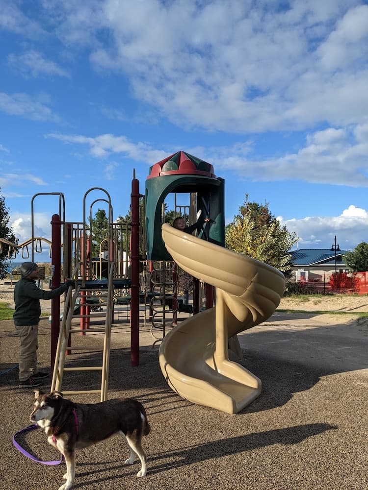 Photo 41