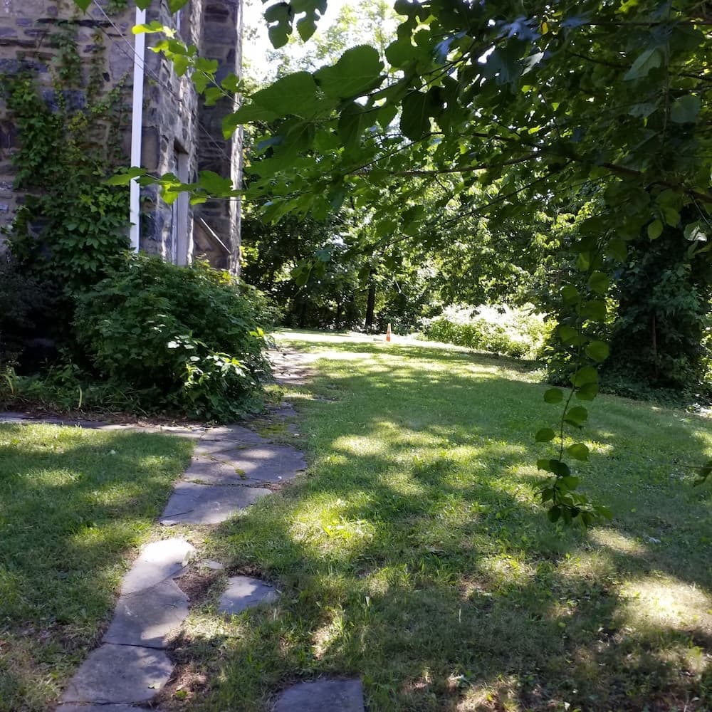 Photo 43