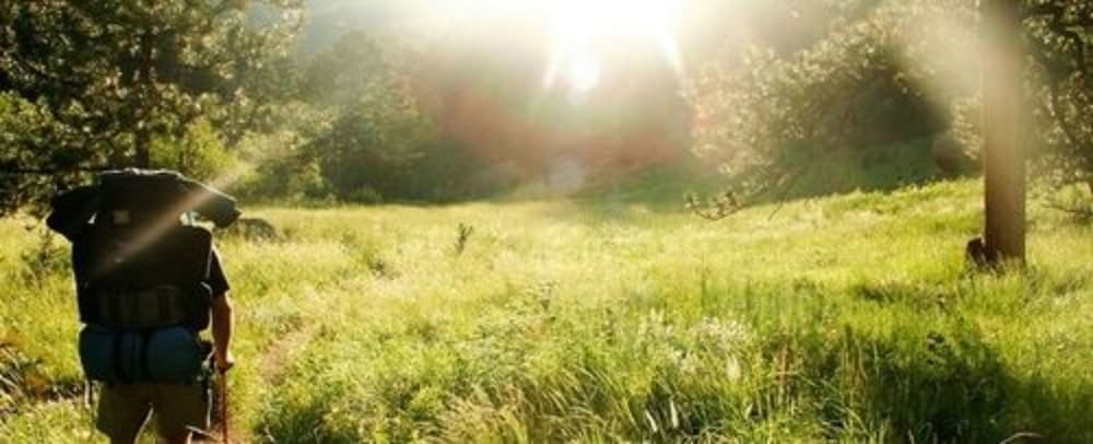 Photo 38