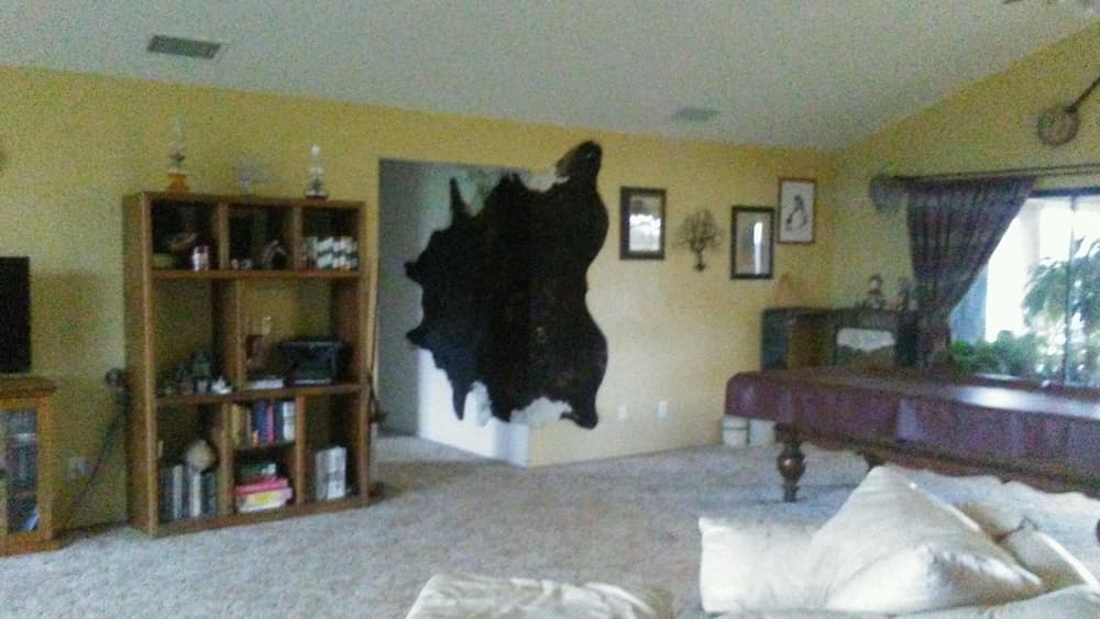 Photo 42