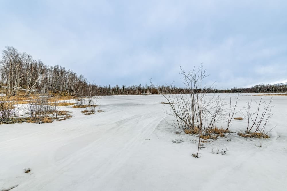 Photo 20