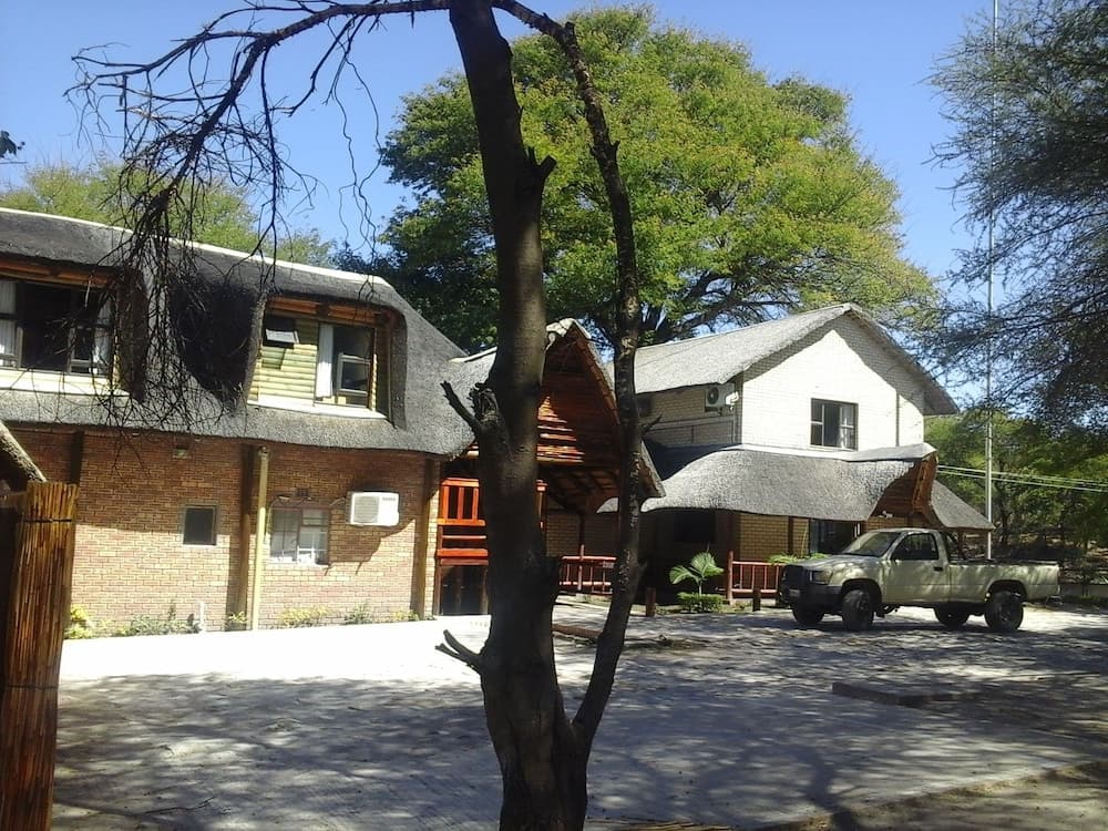 Photo 5