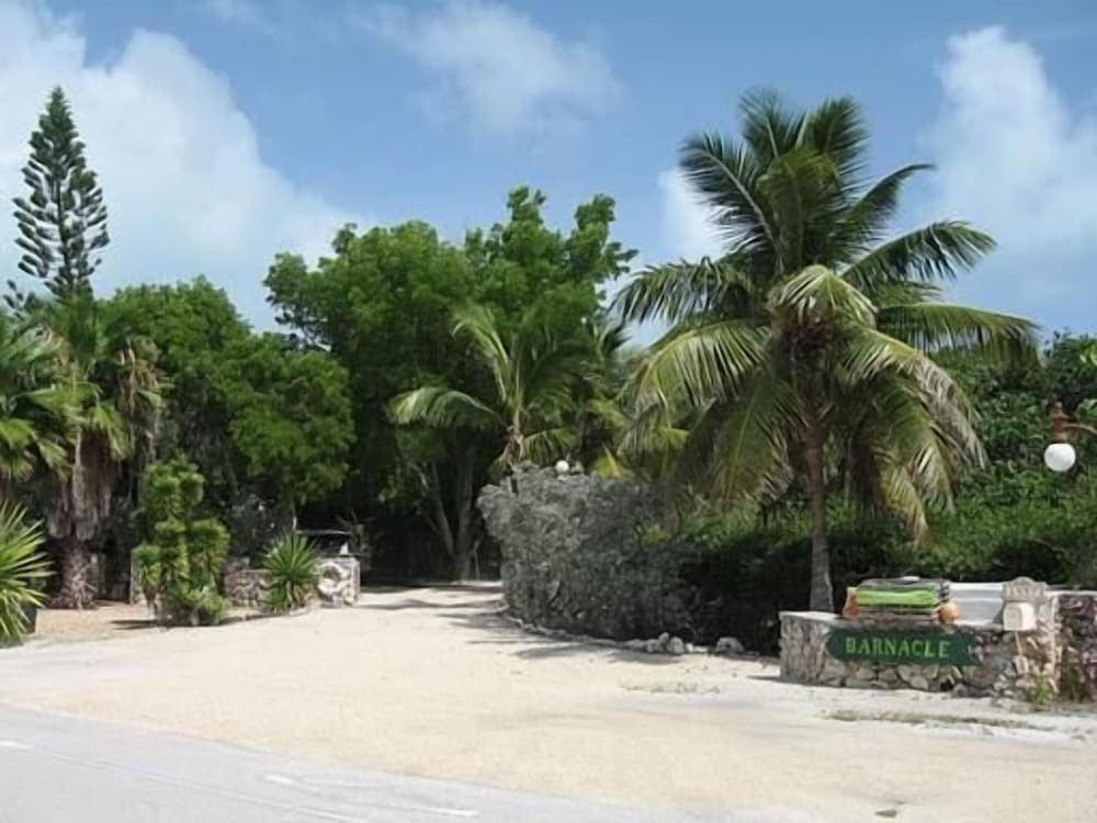 Photo 43