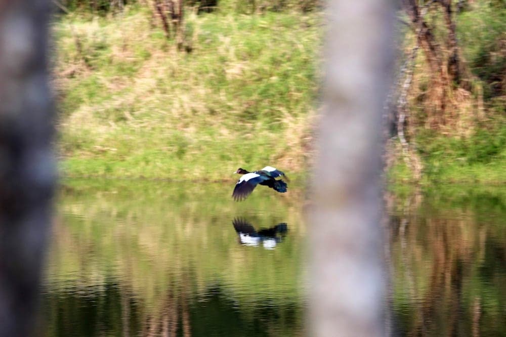 Photo 47