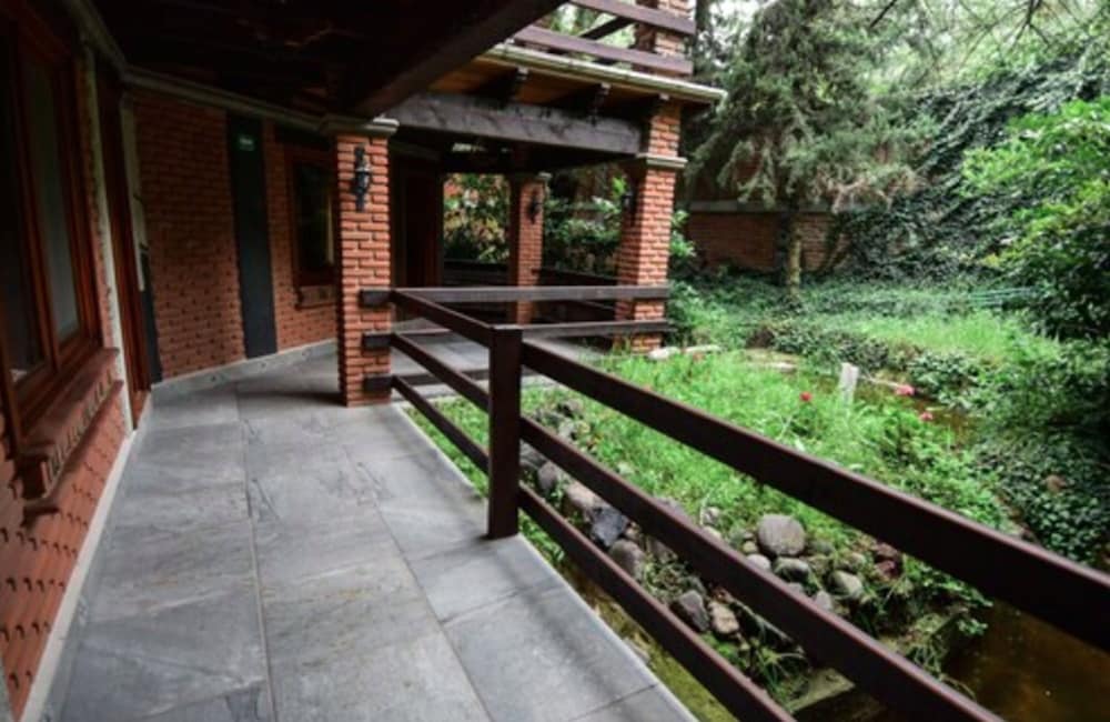 Photo 12