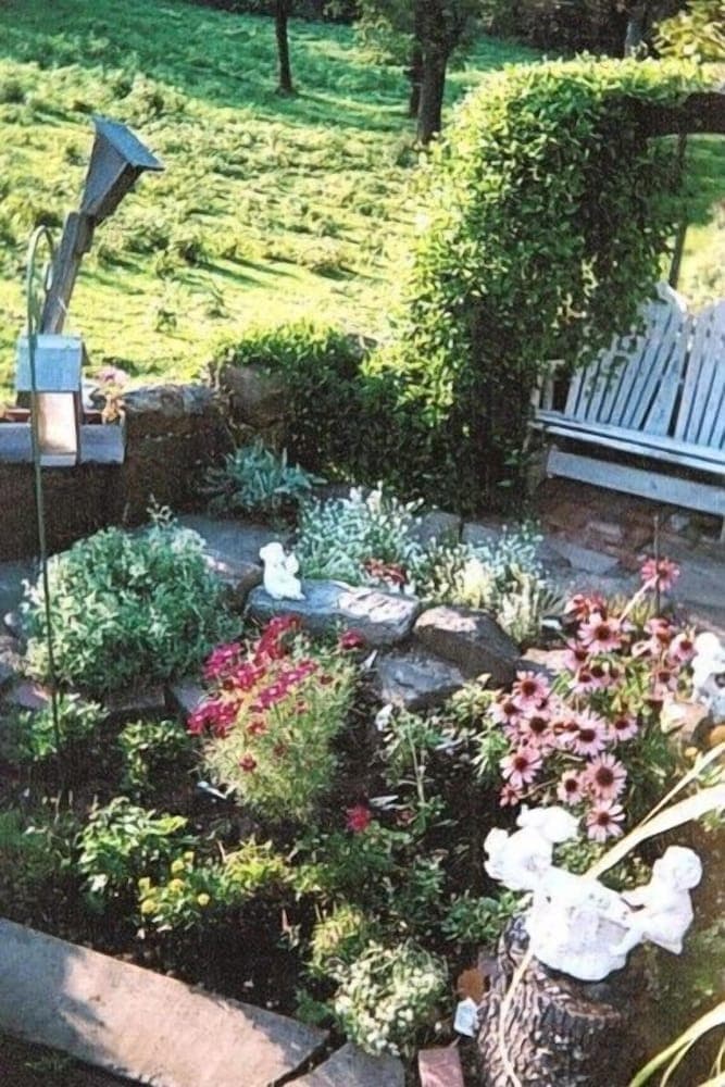 Photo 4