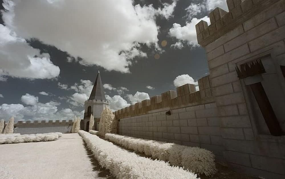 Photo 11