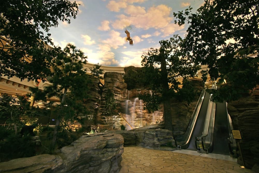 Photo 28