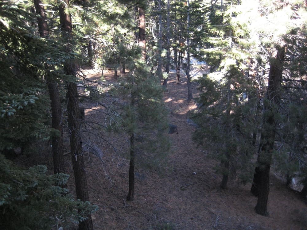 Photo 3
