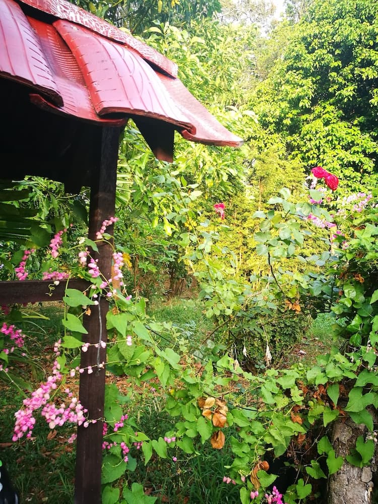 Photo 42
