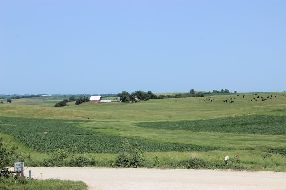Photo 44