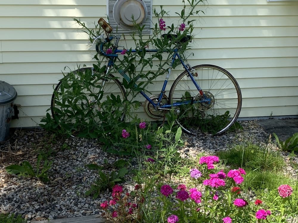 Photo 8
