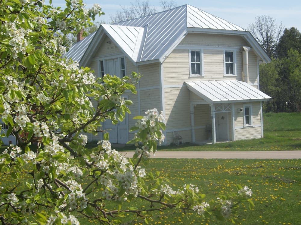 Photo 20