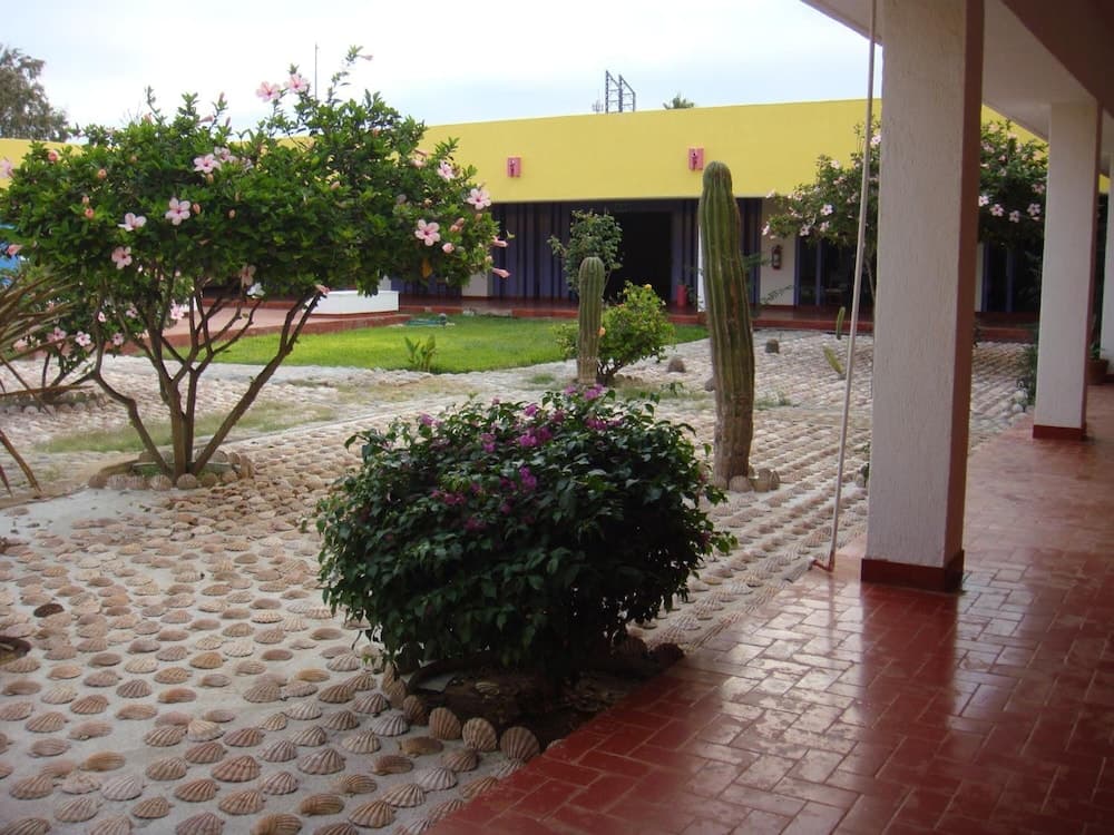 Photo 31