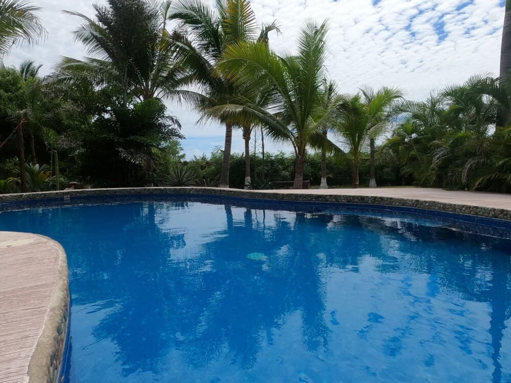 Photo 9