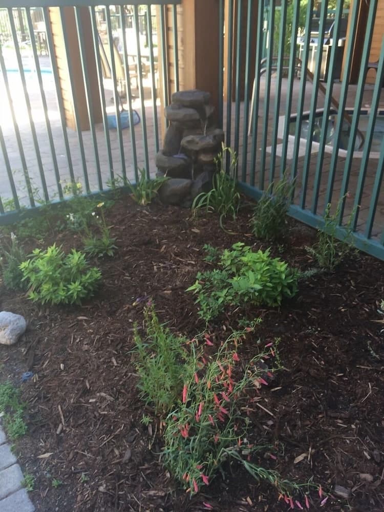 Photo 6