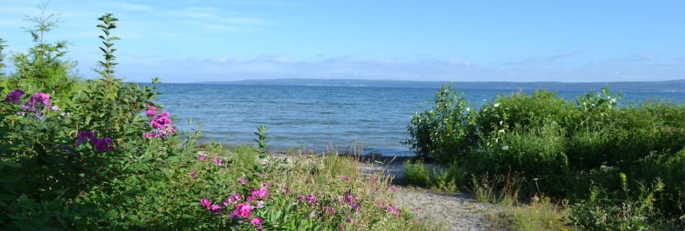 Photo 32
