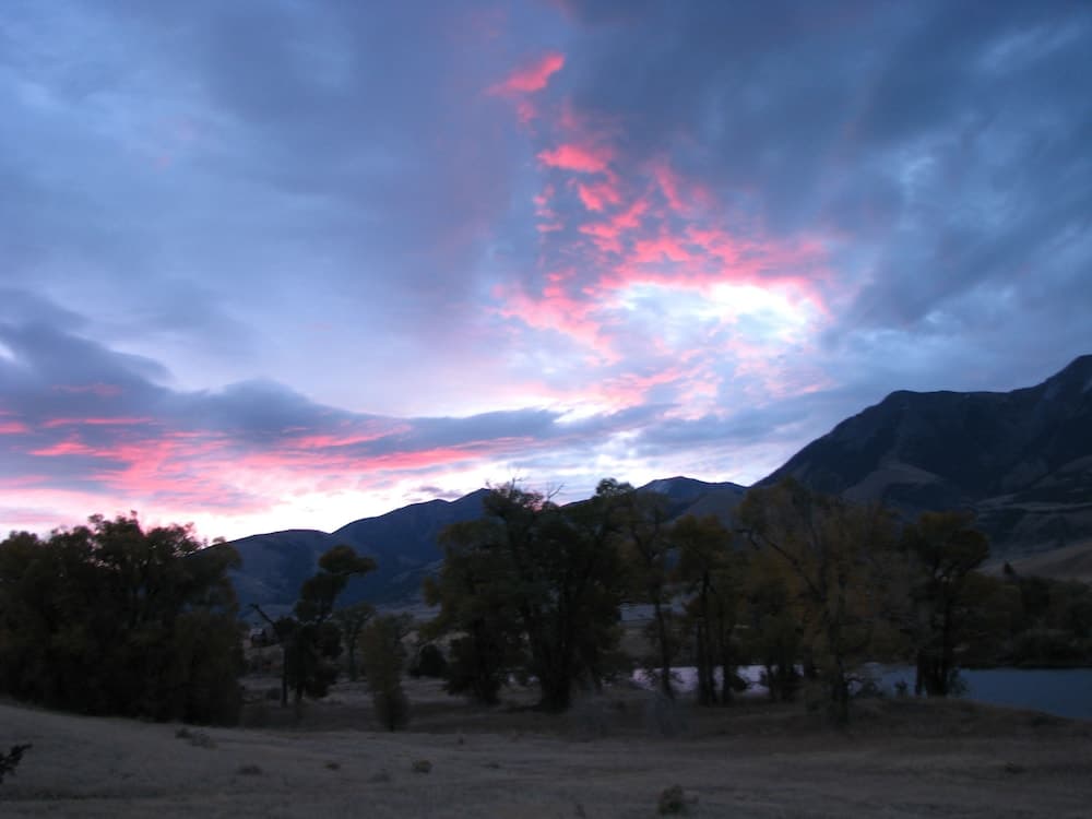Photo 35