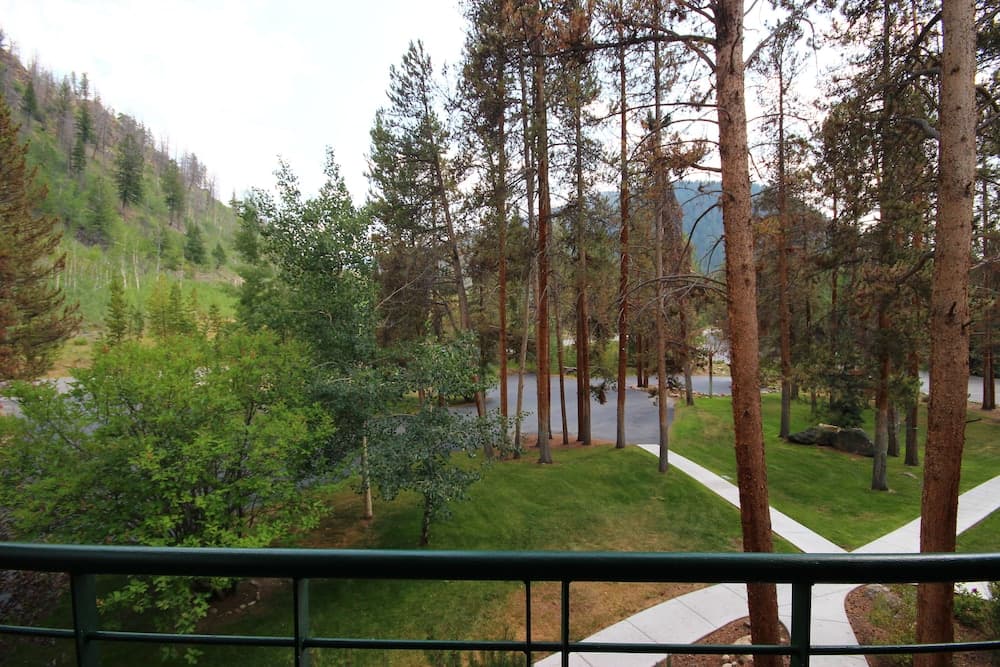 Photo 48