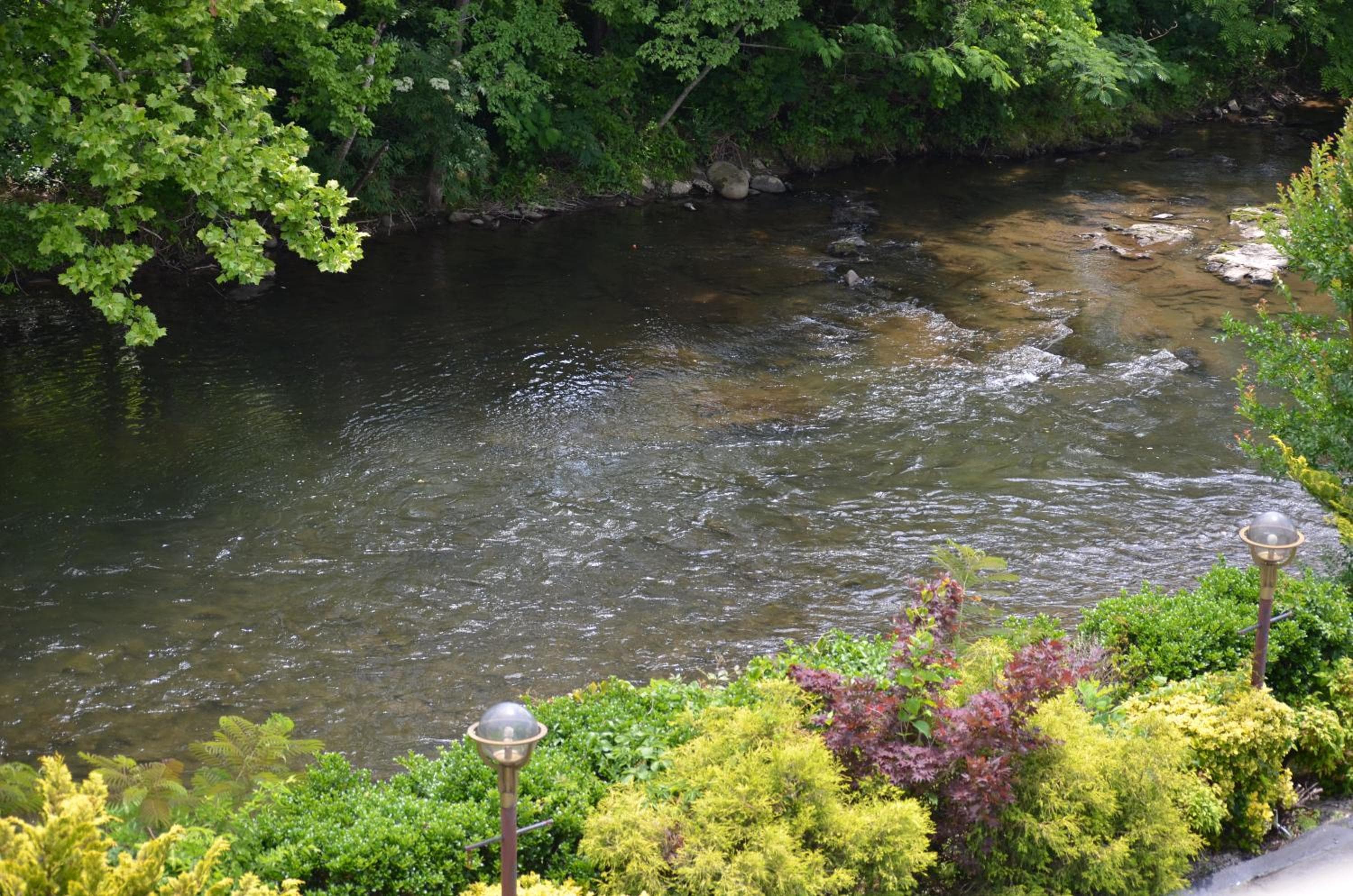 Photo 48