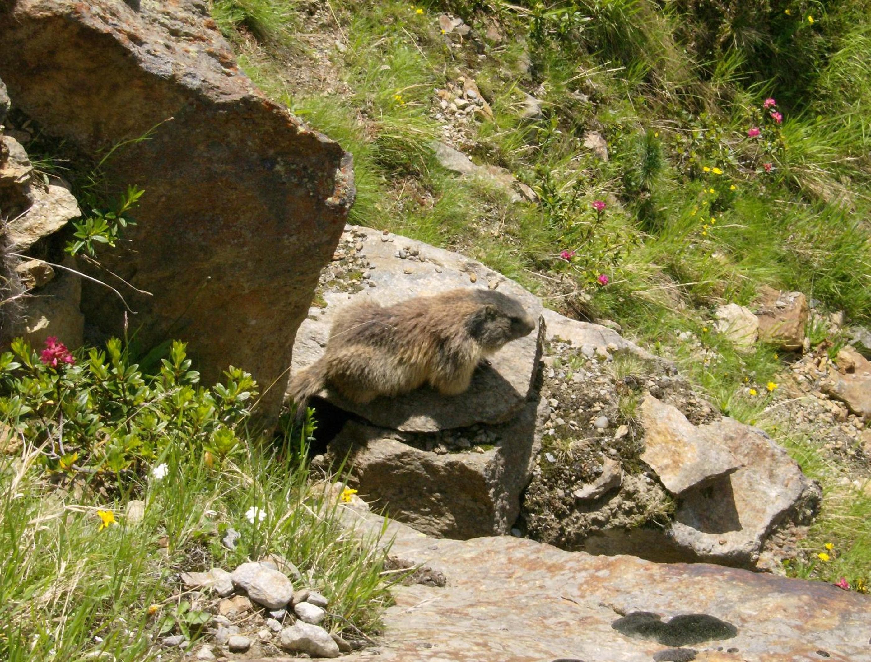 Photo 31