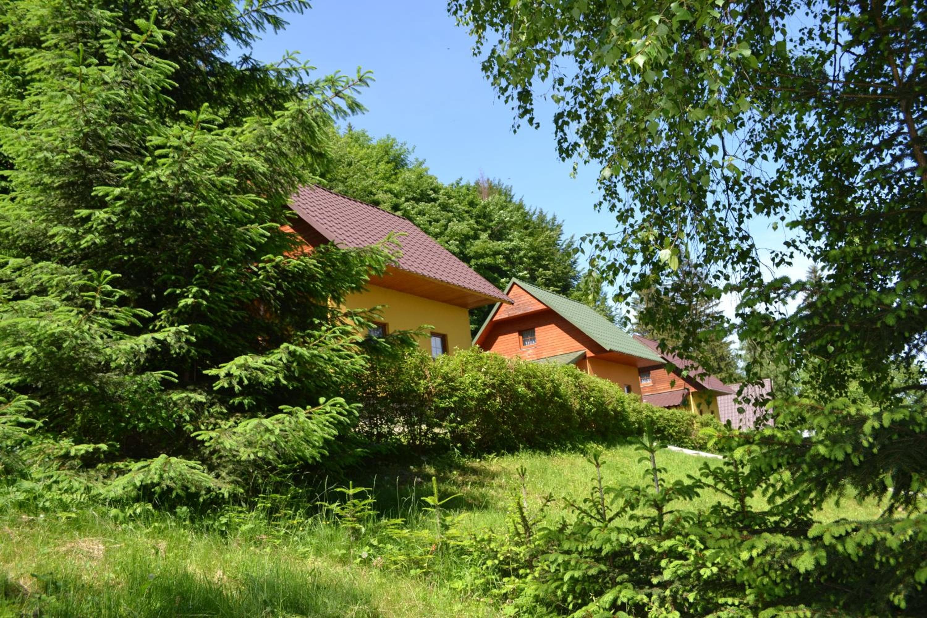 Photo 41