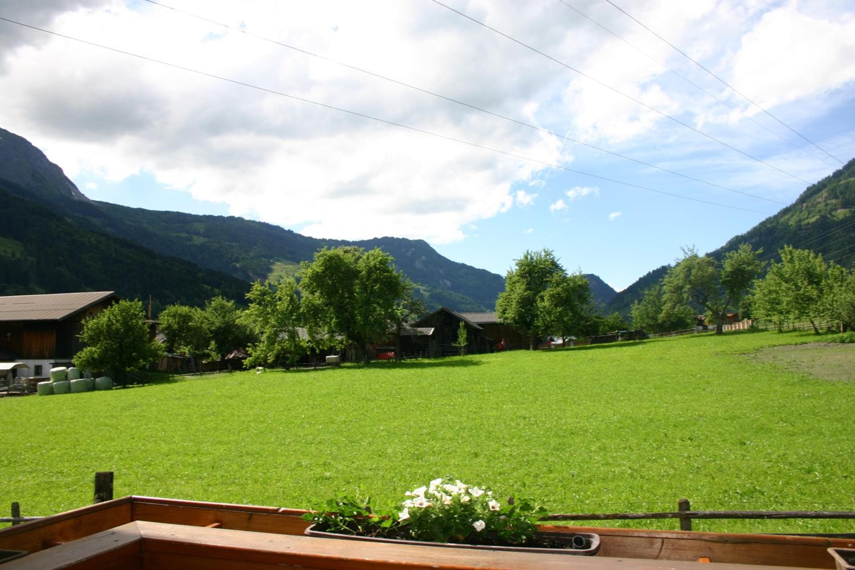 Photo 49