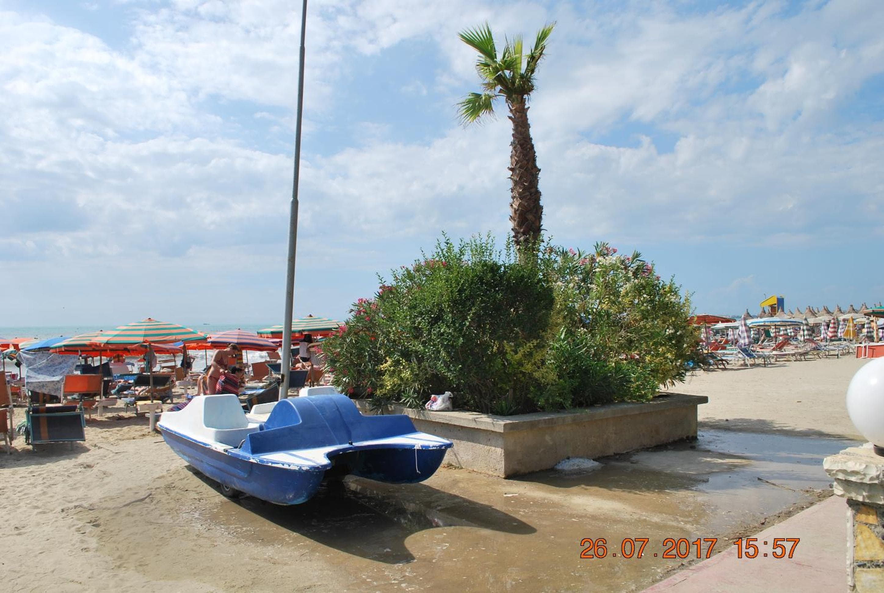 Photo 36