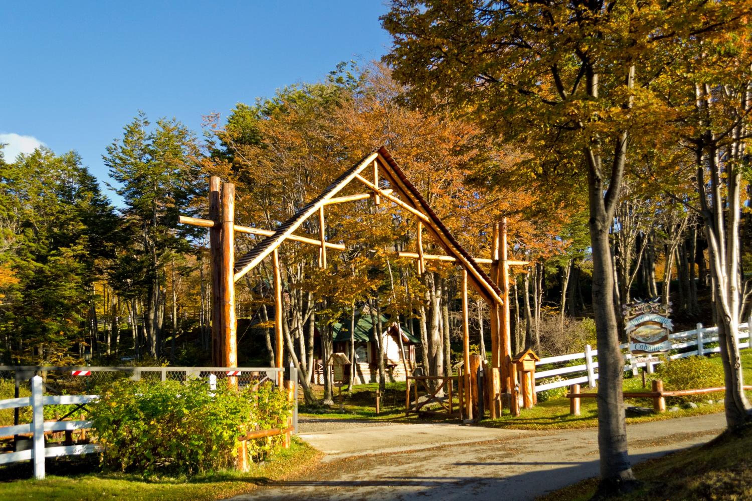 Photo 40