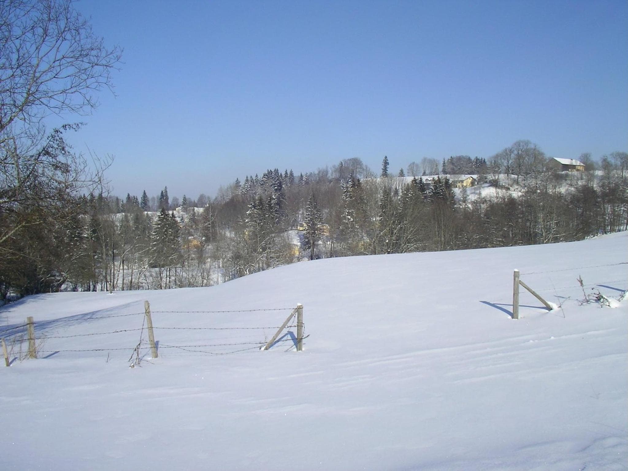 Photo 41