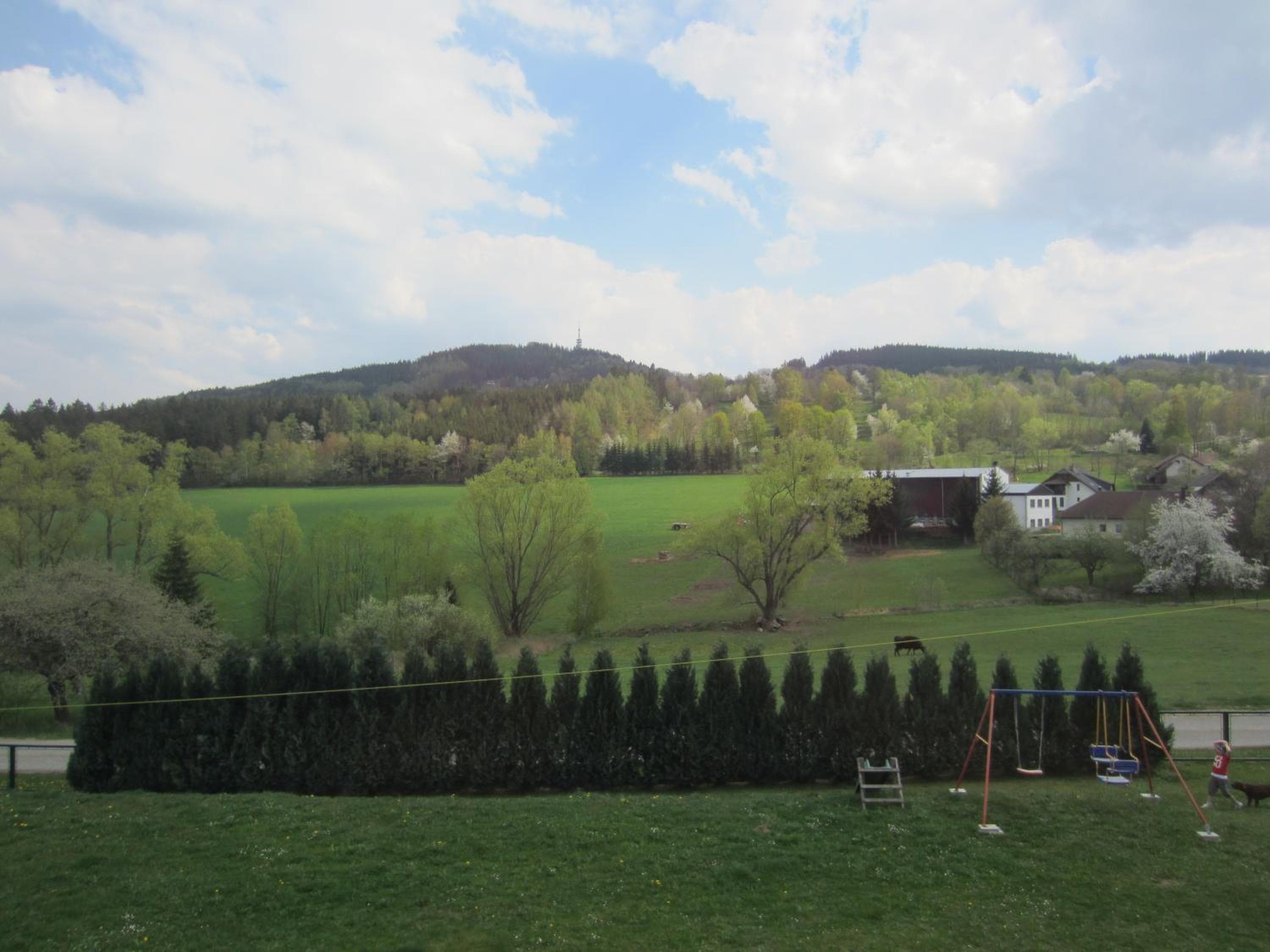 Photo 23