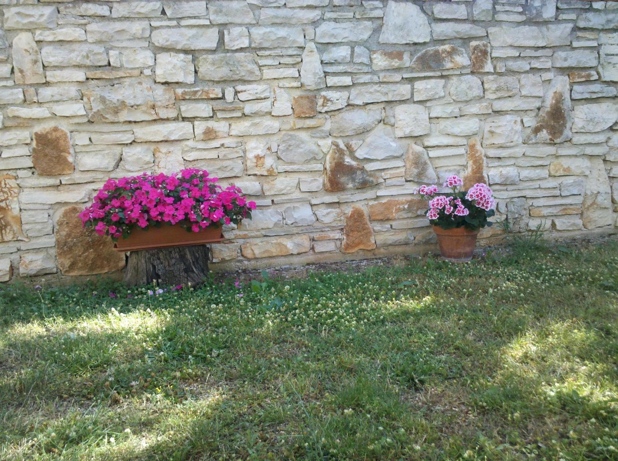 Photo 49