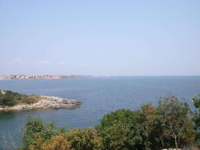 Photo 35