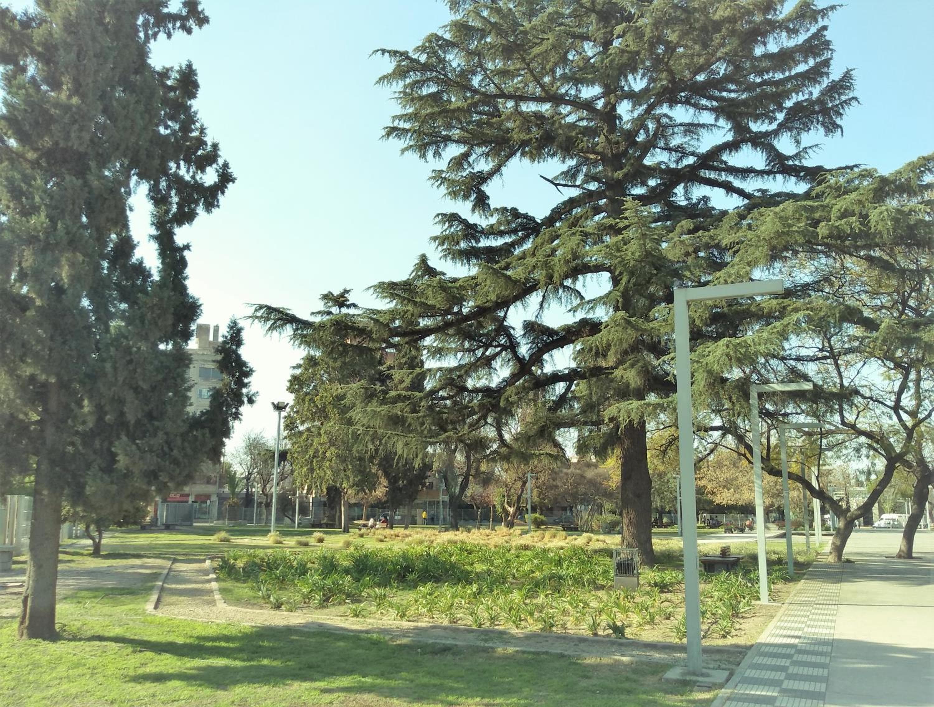 Photo 6