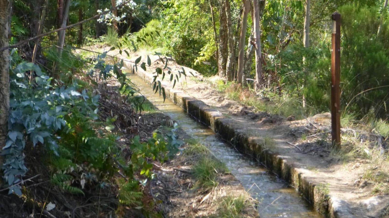 Photo 45