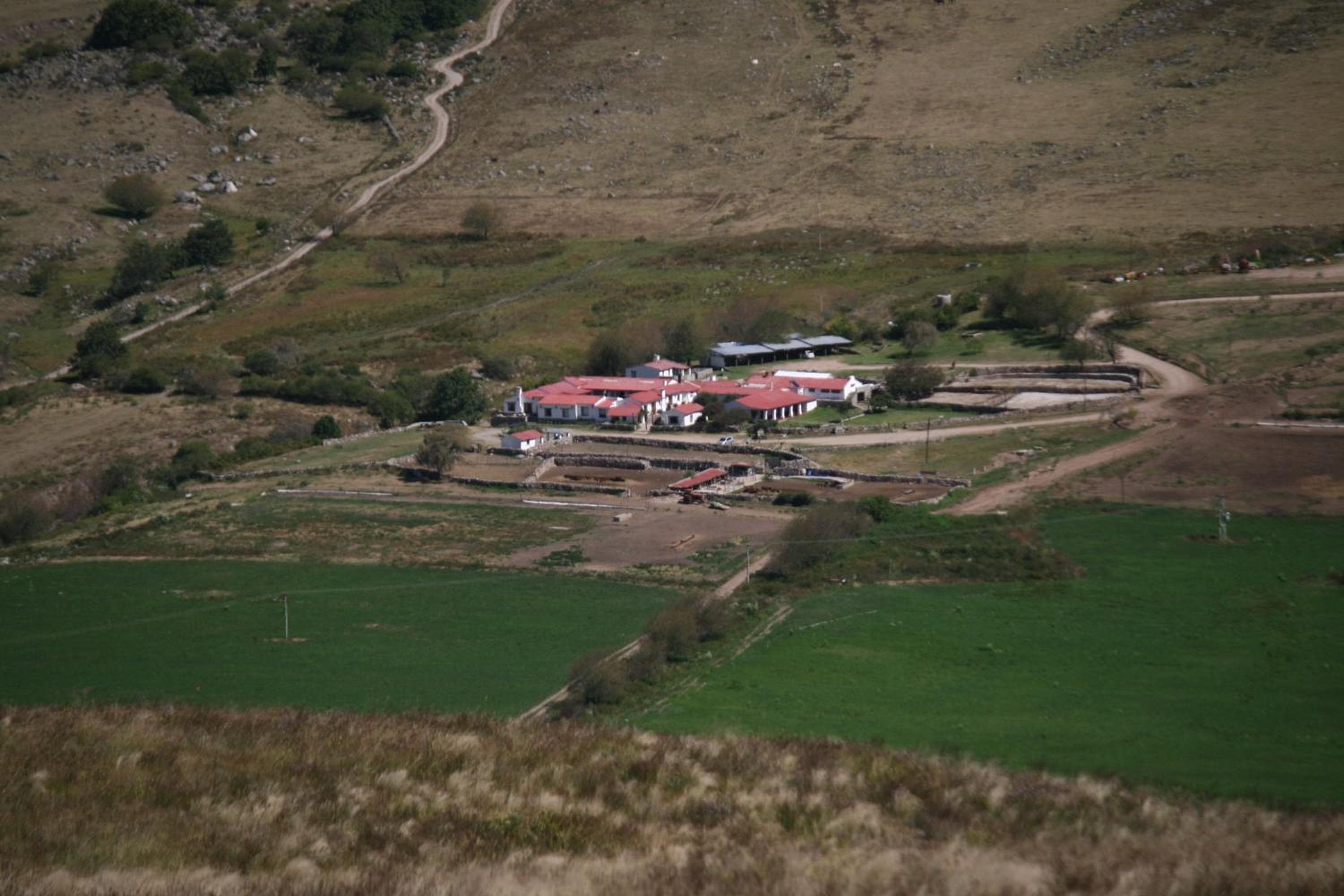 Photo 45