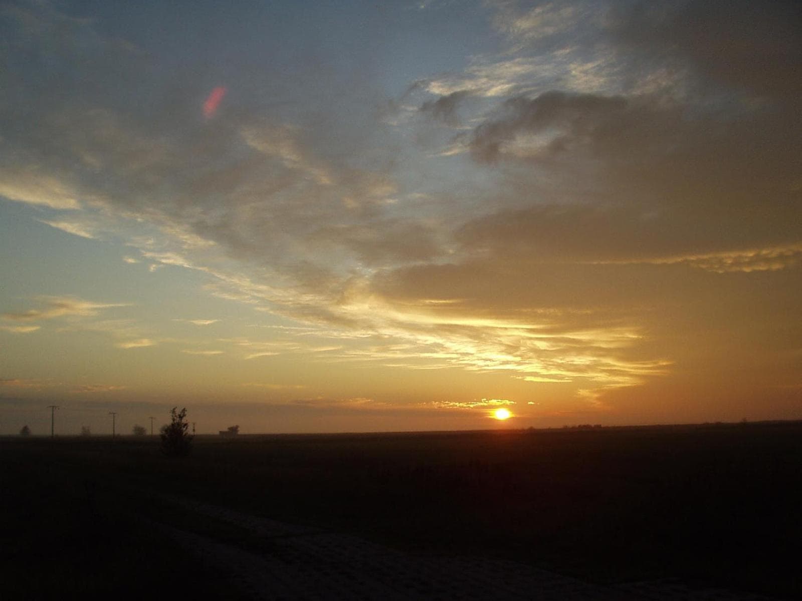 Photo 50