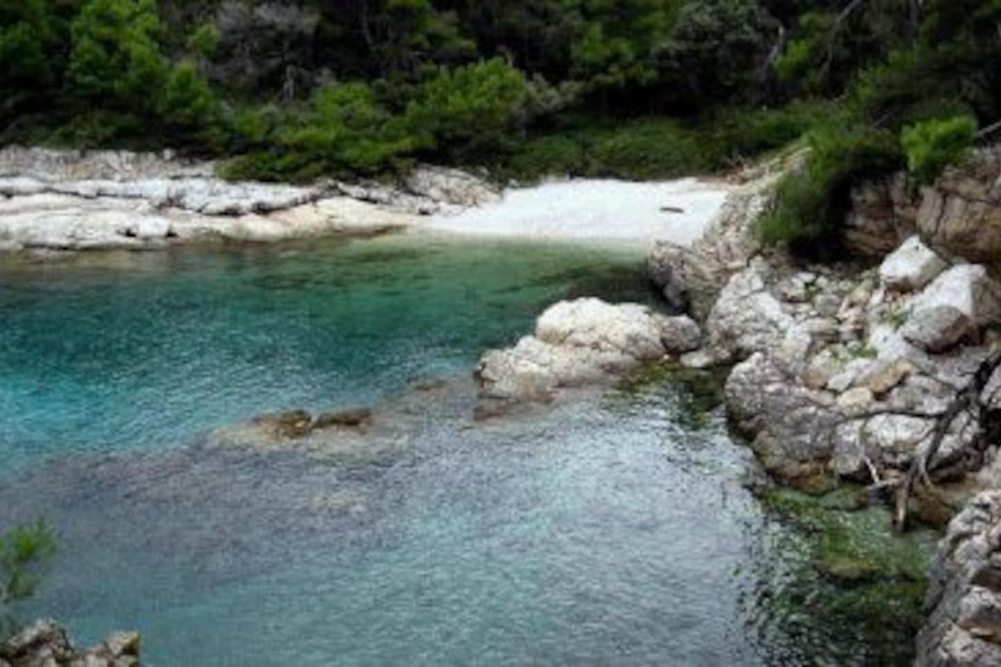 Photo 29
