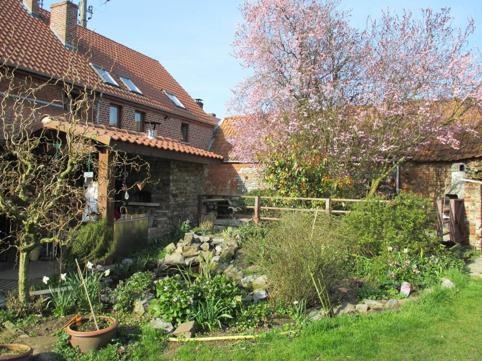 Photo 12