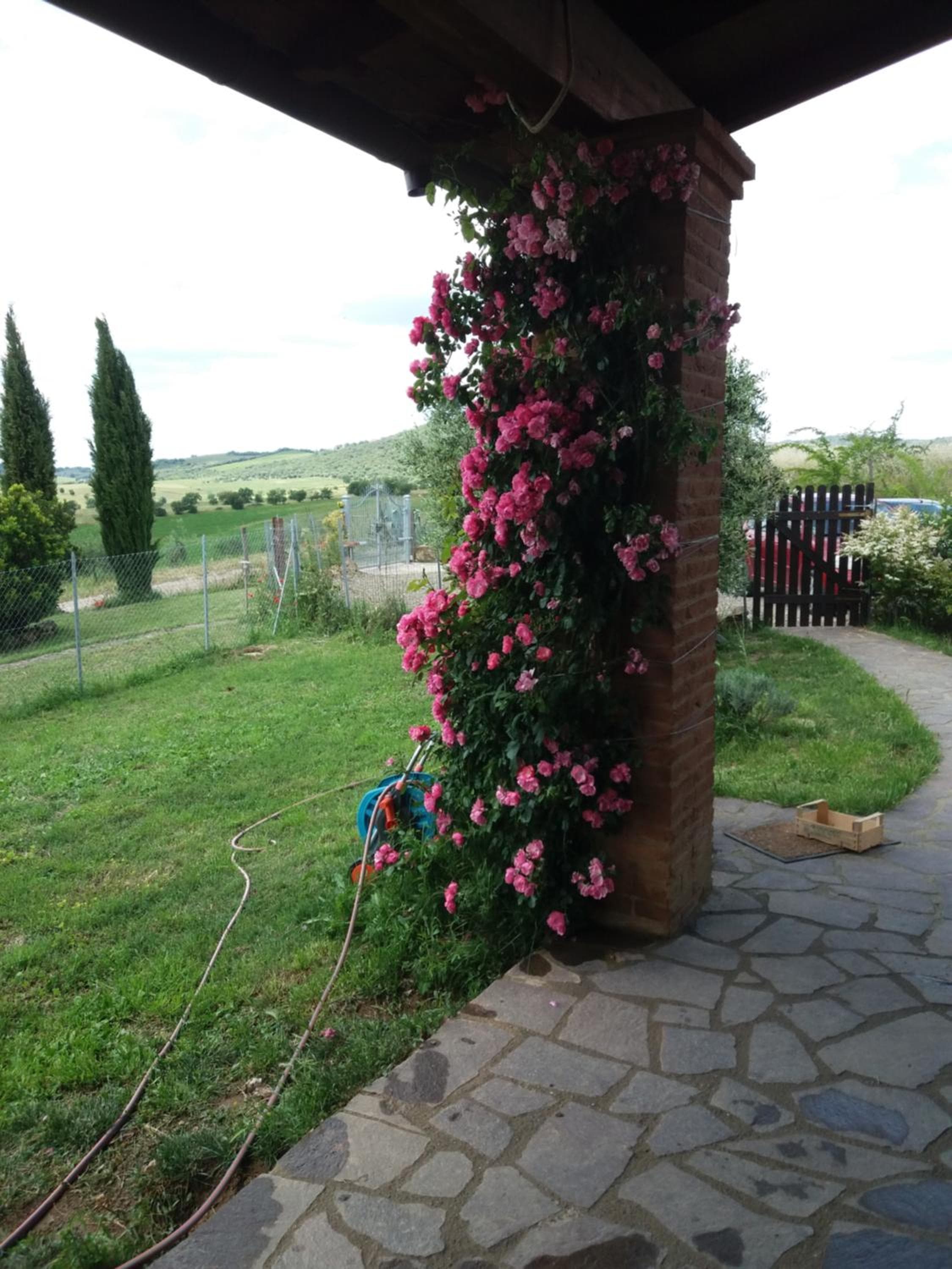 Photo 34
