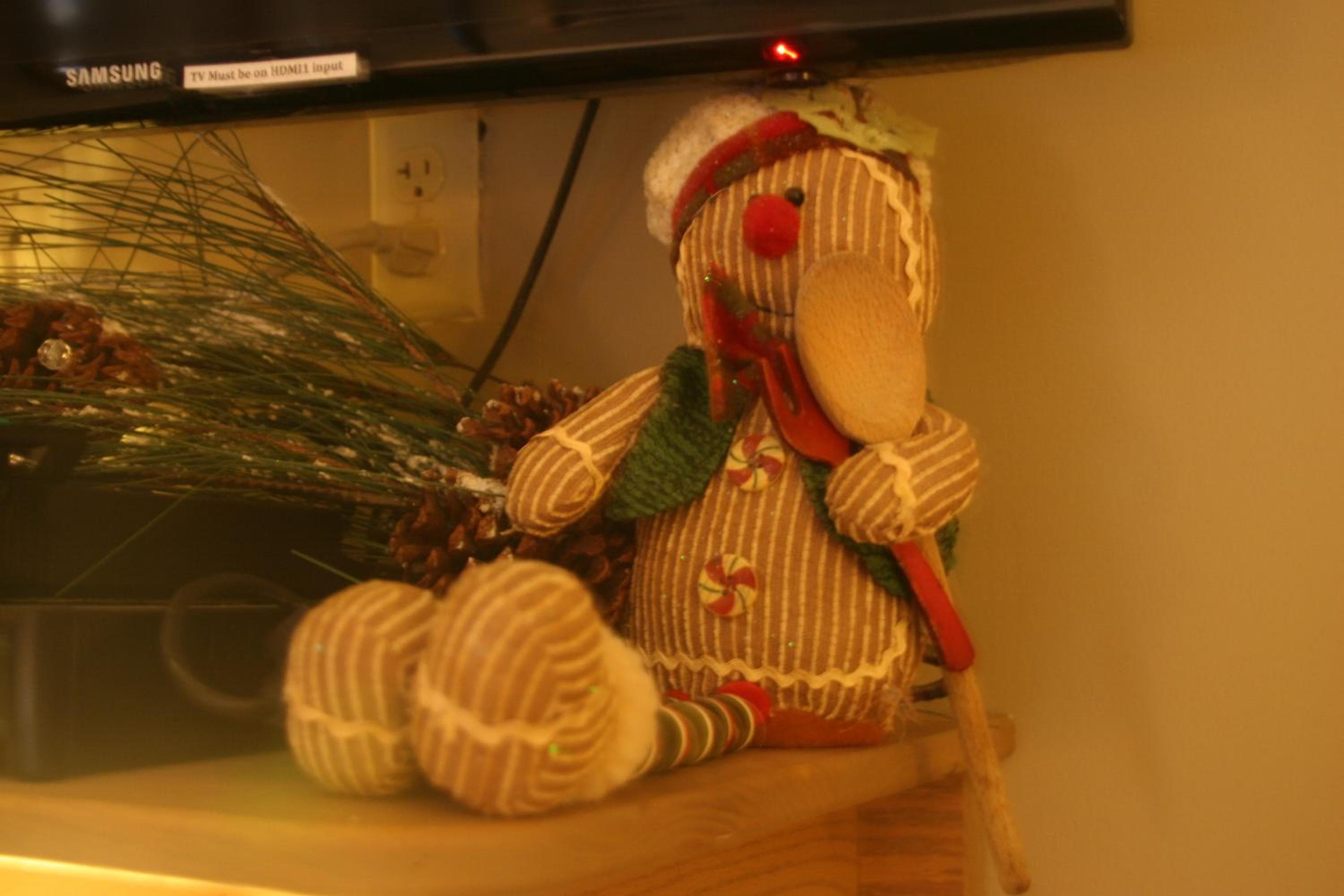 Photo 8