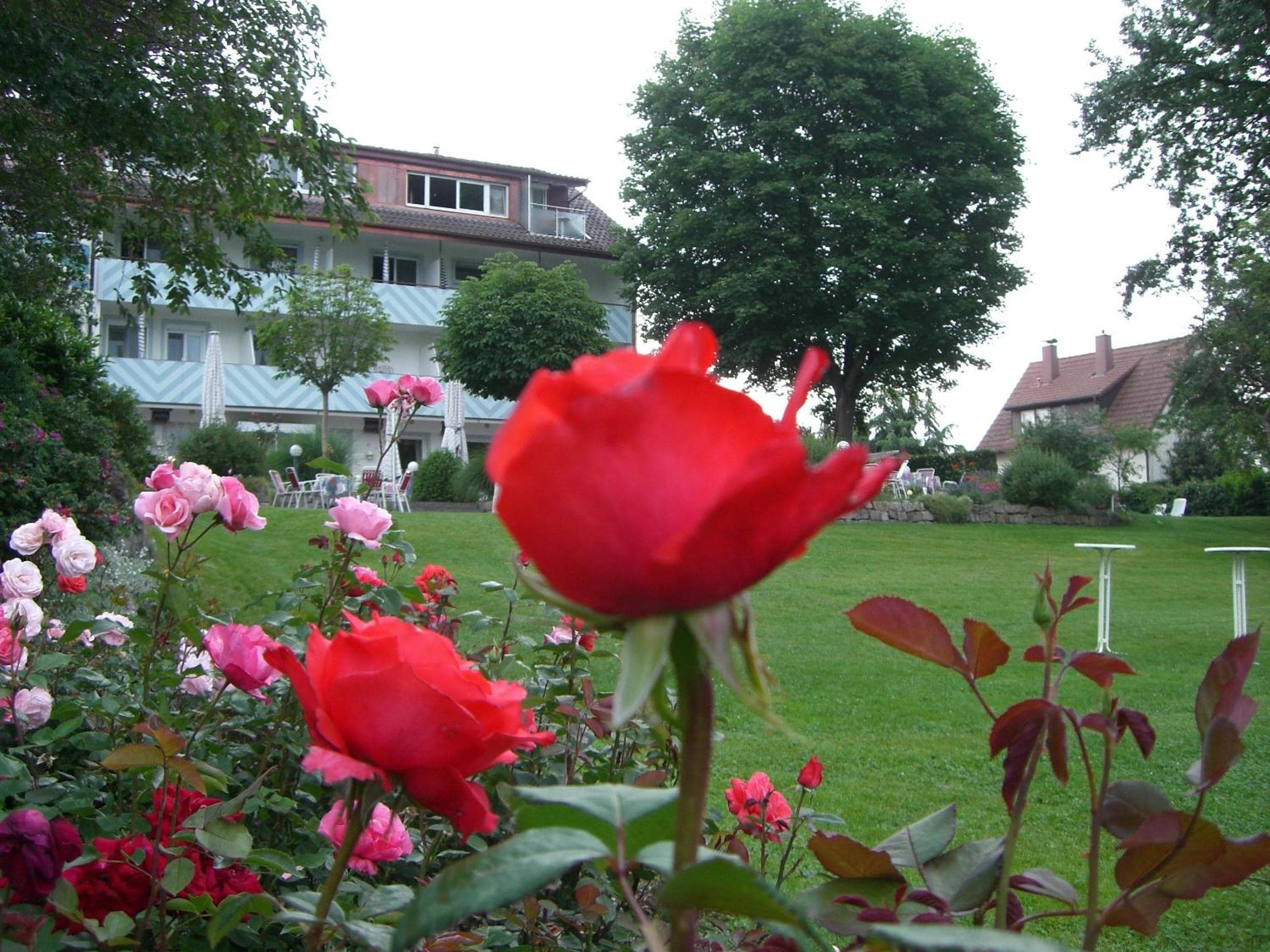Photo 35