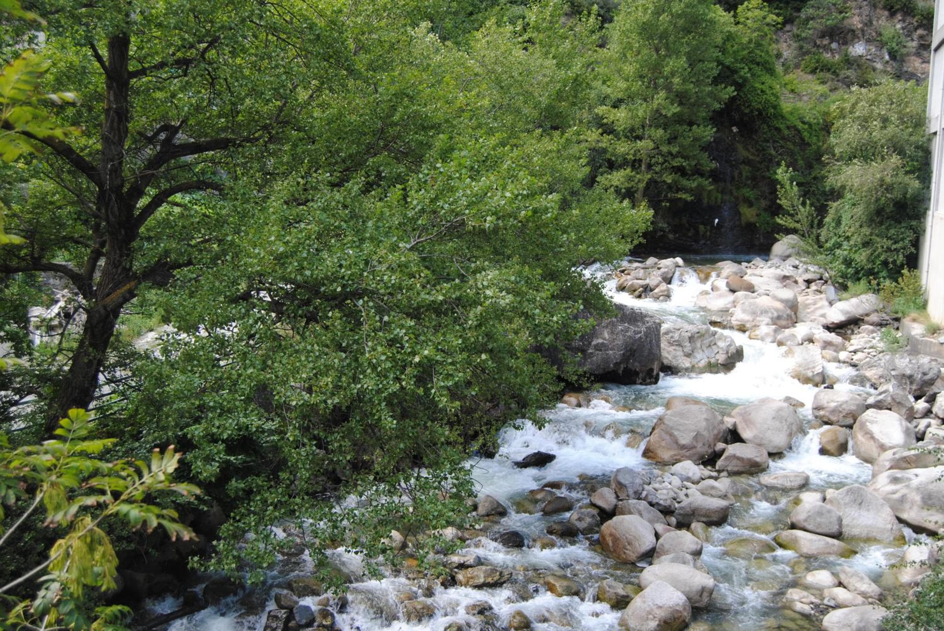 Photo 25