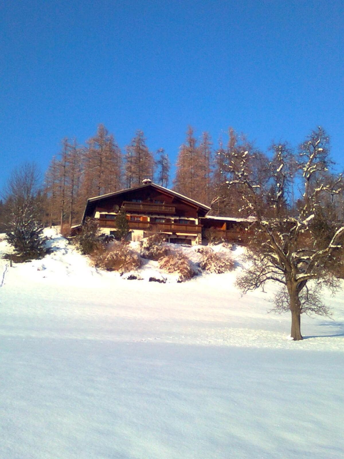 Photo 48