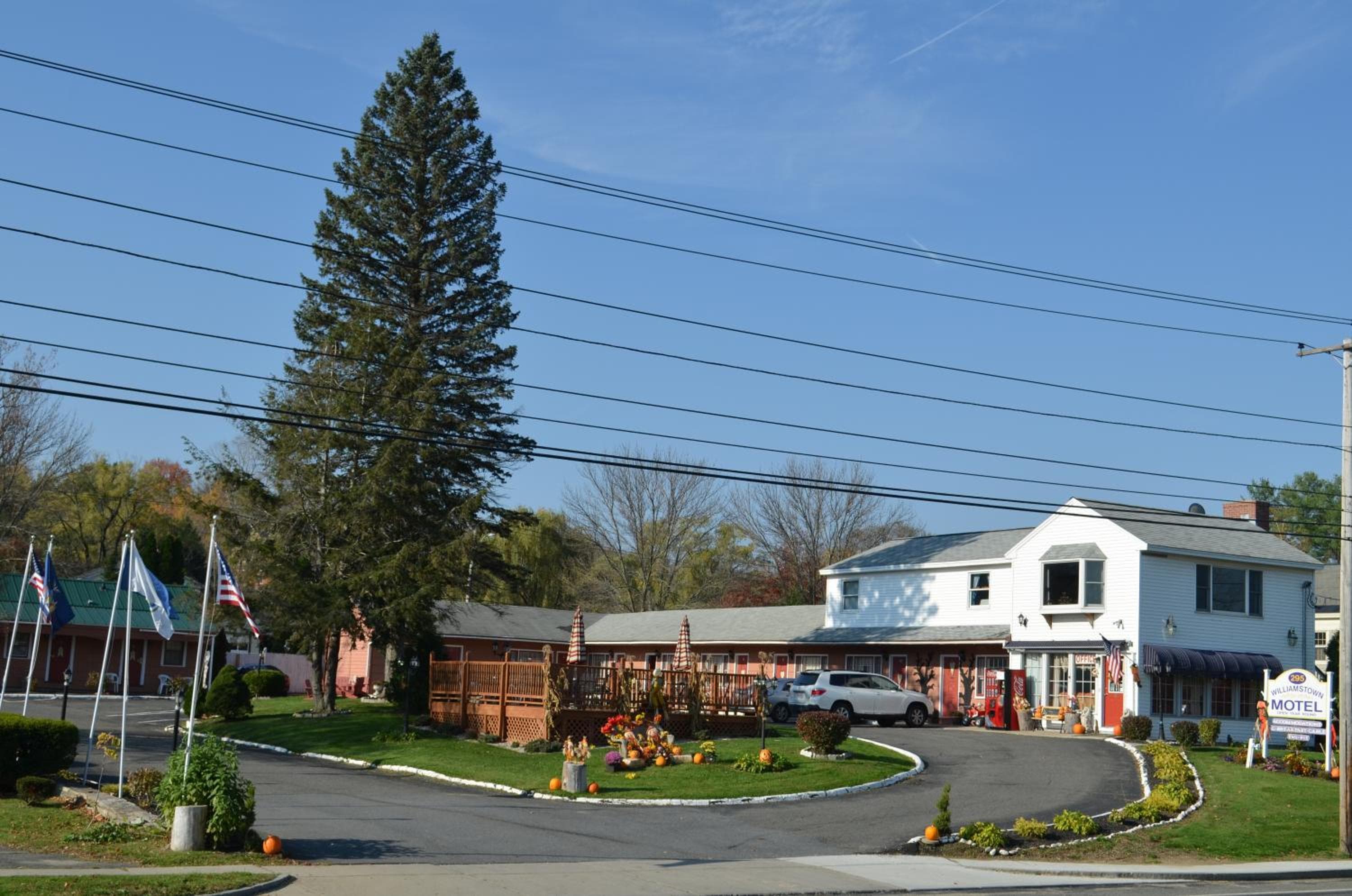 Photo 46