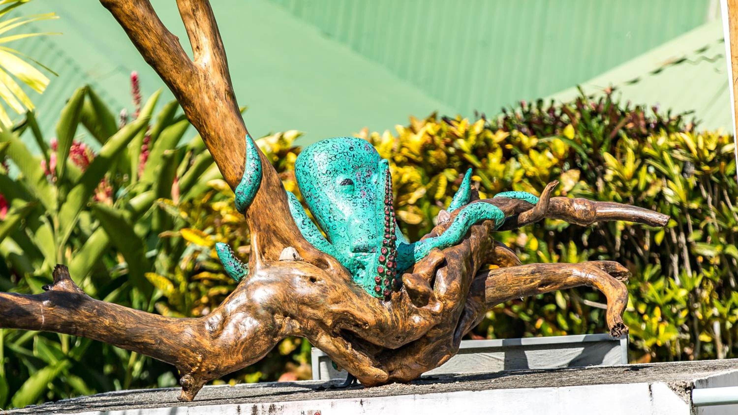 Photo 21