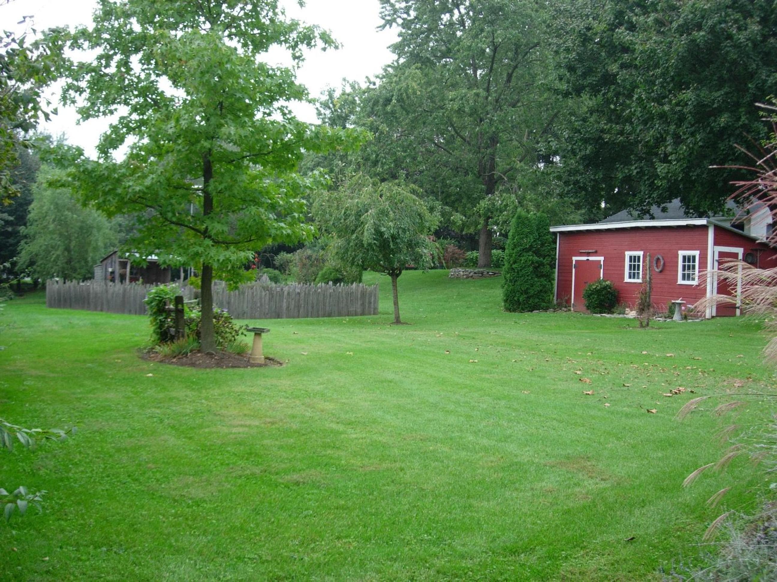 Photo 11