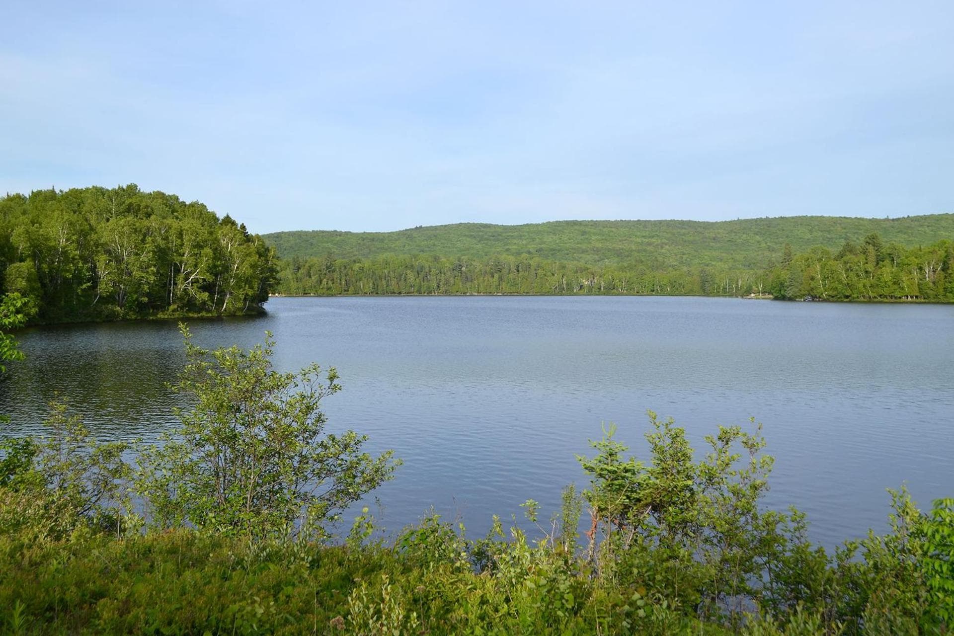 Photo 46